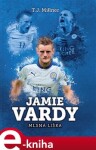 Jamie Vardy: mlsná liška - T.J. Millner e-kniha