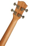 Cascha HH 2048 Tenor Mahogany Ukulele Set