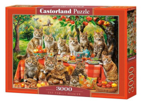 Castorland Puzzle Cat Family Reunion 3000 dílků