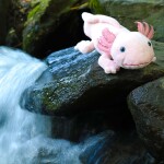 Plyšový axolotl 33 cm, ECO-FRIENDLY