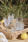 Ib Laursen Sklenička na červené víno Leaves 200 ml, čirá barva, sklo