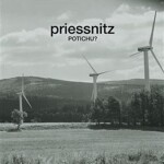 Potichu? (Skoro Unplugged) - CD - Priessnitz