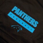 Nike Pánské kraťasy Carolina Panthers NFL 2024 Sideline Mesh Dri-FIT Shorts Velikost: M