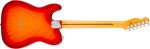 Fender American Professional Telecaster MN ACB