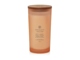 Vonná svíčka CHESAPEAKE BAY CANDLE Love & Passion 355g