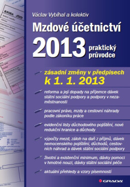 Mzdové účetnictví 2013 - Václav Vybíhal