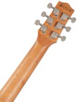 Ibanez EWP12EWB-OPN