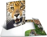 Herma Desky s gumičkou Leopard A4 / Desky s gumičkou / Polypropylen / Vícebarevné (7137)