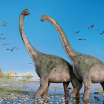 Nástěnný kalendář poznámkový 2027 Notique Dinosauři, 30 x 30 cm