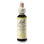 Kaštan koňský, poupě (Chestnut Bud) 20 ml - Bachovy esence Dr.Bach