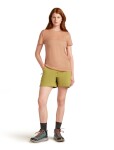 Dámské merino tričko s krátkým rukávem ICEBREAKER Wmns 150 Tech Lite SS Tee Single Line C, Desert Sand velikost: S