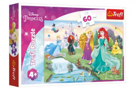 Puzzle Seznamte se Disney princeznami