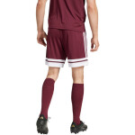 Šortky adidas Squadra 25 M JC8677 s