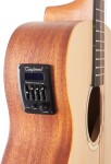 Tanglewood TWR2 OE