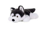 Pes husky ležící plyš