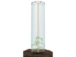 Prosperplast Sada na pěstování rajčat TOMATO GROWER CAP 38,5cm