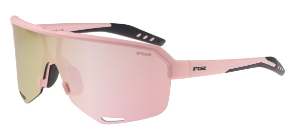 R2 FLUKE AT100A3