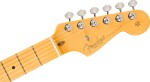 Fender American Professional Classic Stratocaster MN Faded Lake Placid