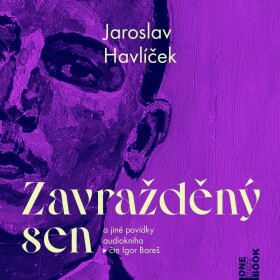 Zavražděný sen jiné povídky Jaroslav Havlíček