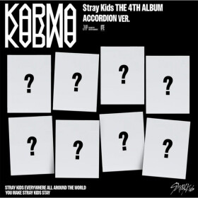 KARMA (Accordion Version) - CD - Kids Stray