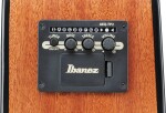 Ibanez AAD51LCE-DVS