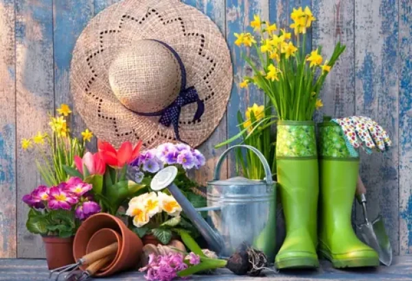 BLUEBIRD Puzzle Přichystáno na zahradničení