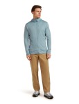 ICEBREAKER Mens Mer 260 Quantum IV LS Zip Hoodie, Flint Blue velikost: L