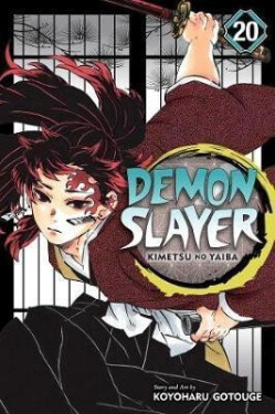 Demon Slayer: Kimetsu no Yaiba 20 - Koyoharu Gotouge