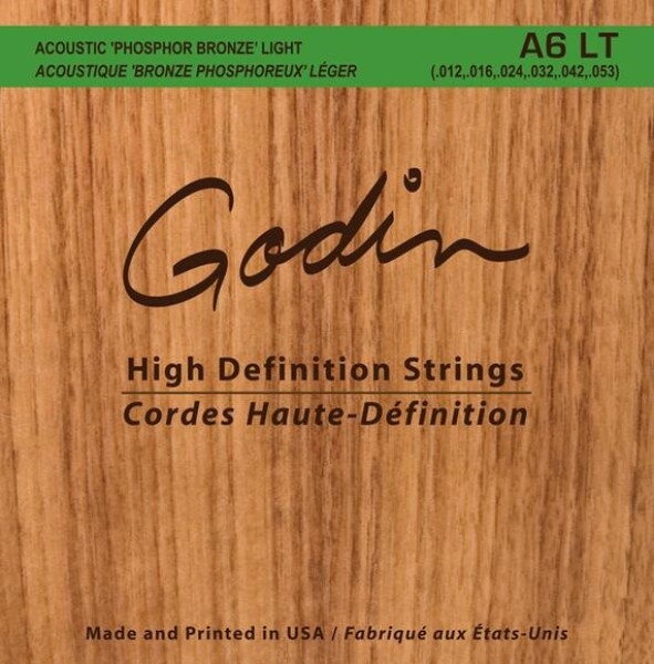 Godin Strings Acoustic Guitar LT