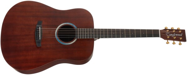 Tanglewood TE5BL