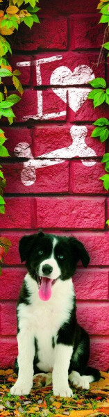 Záložka 3D - Miluji kosti