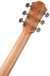 Furch Blue Master's Choice Gc-CM CNR Active