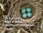 Magnet na lednici - Co si přeješ? Přeji si lásku. Medituj na ptačí hnízdo. - Sri Chinmoy