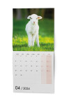Zvířátka 2024 - nástěnný kalendář