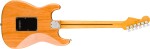 Fender American Professional Stratocaster MN NAT