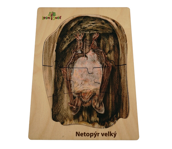 Puzzle z lesa - Netopýr