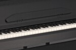 Gewa CP510 black