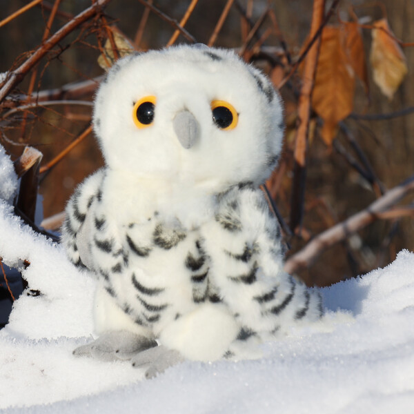 Sova bílá 25 cm