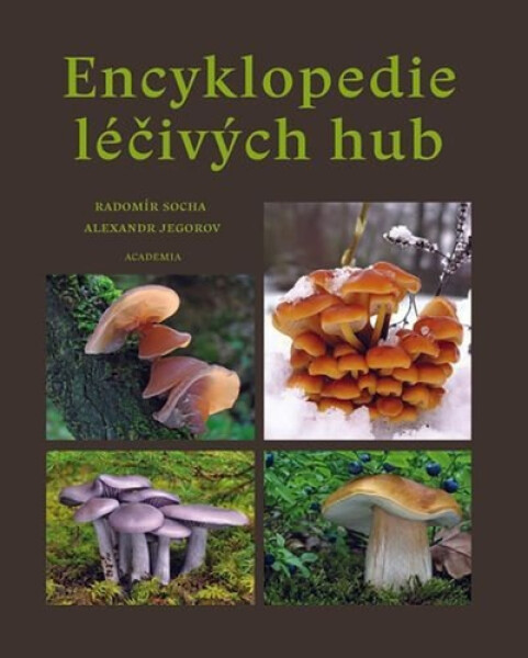Encyklopedie léčivých hub - Radomír Socha