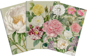 Sada tří notýsků - Peonies Roses