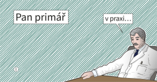 Pan primář v praxi - Primář Pan - e-kniha