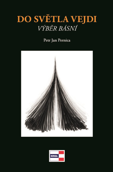 Do světla vejdi - Petr Jan Pernica