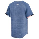 Nike Pánský dres Washington Nationals MLB City Connect Limited Velikost: L