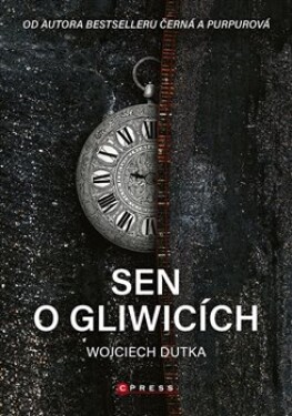 Sen Gliwicích