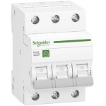 Odpínač Schneider Electric R9S64363