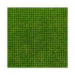 BRIXIES Plus 225.000 Designová podložka na stavění - tráva 25,5 x 25,5 cm