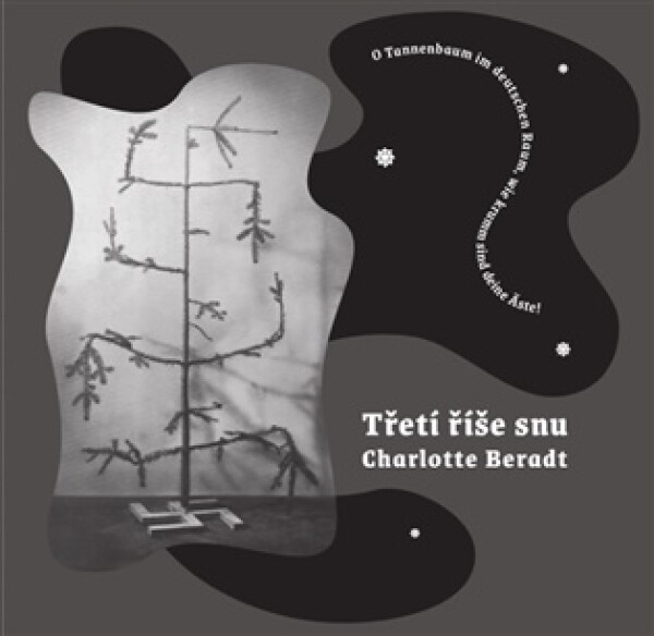 Třetí říše snu - Beradt Charlotte