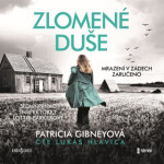 Zlomené duše - Patricia Gibneyová - audiokniha