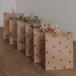 Eulenschnitt Papírový sáček Illustrations 21 × 15 cm – set 6 ks, hnědá barva, přírodní barva, papír