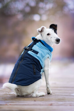 Aston obleček pro psa na zip Barva: Modrá, Délka zad (cm): 25, Obvod hrudníku: 32 - 40 cm